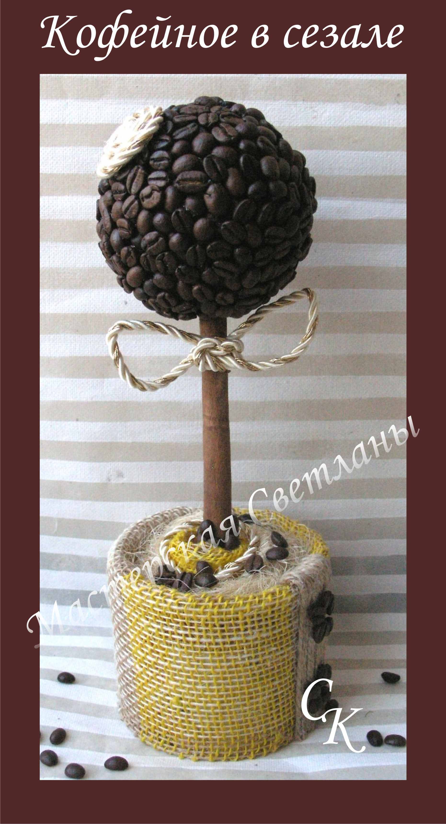 Кофейное деревце счастья 