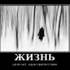 Жизнь