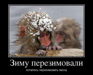 зиму перезимовали... 