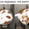 Капуччино Капуччино