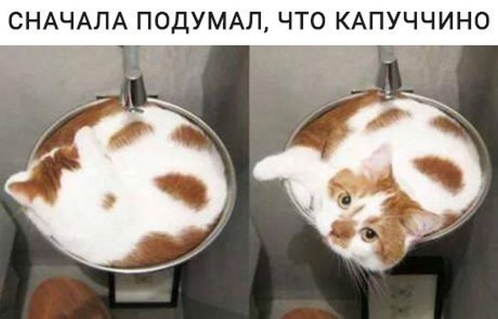 Капуччино