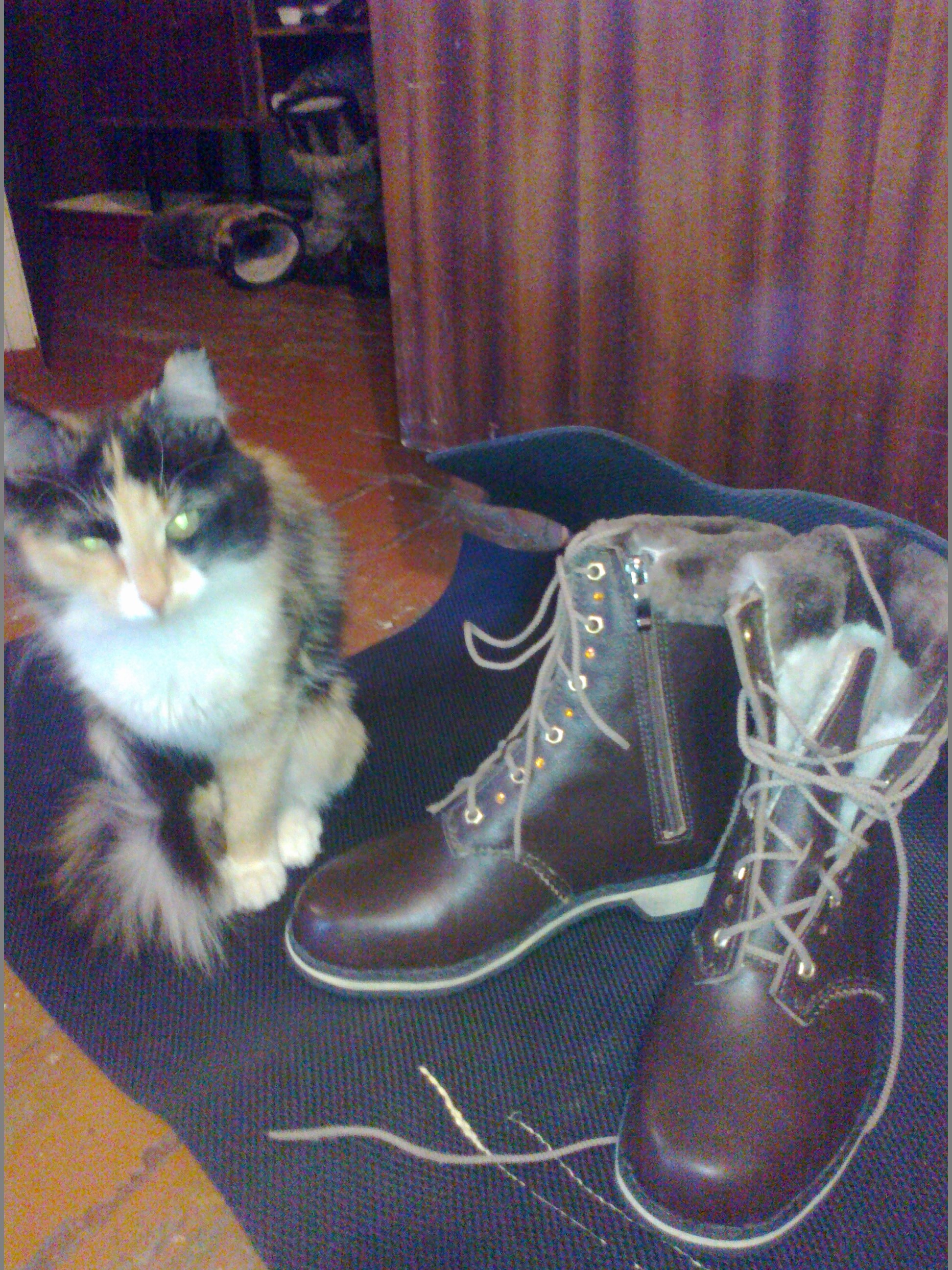 Батиньоли сибири Ангарск.