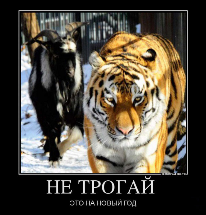 Не трогай...
