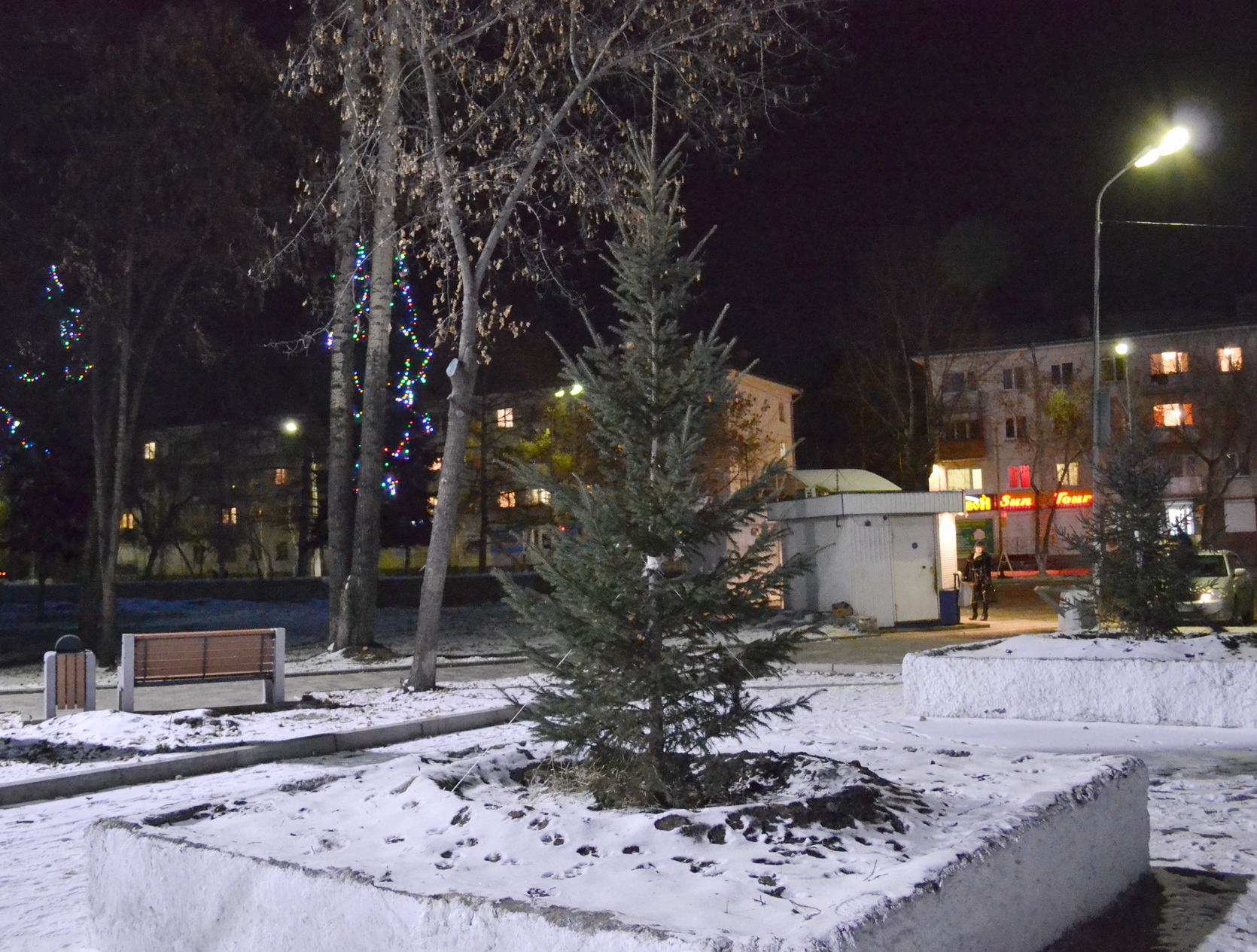 йолочка заместа чирёмухи))))))