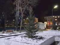 йолочка заместа чирёмухи))))))