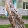 Малая архитектурная форма в квартале "А"