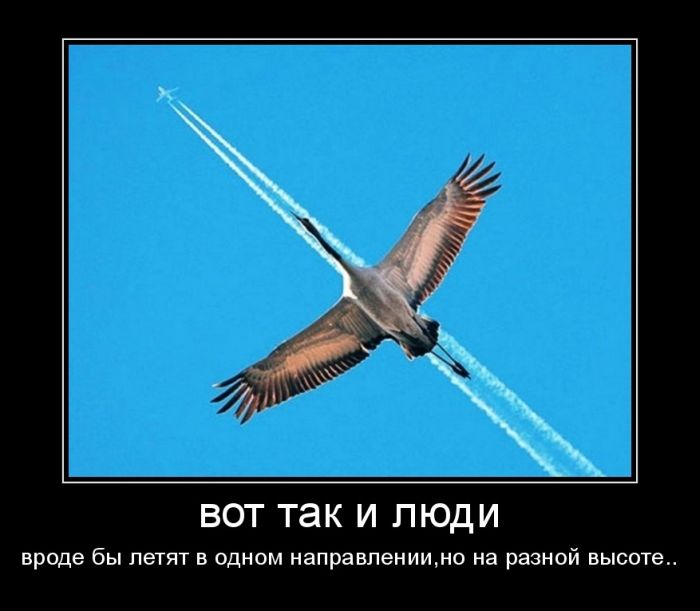 Высота полета