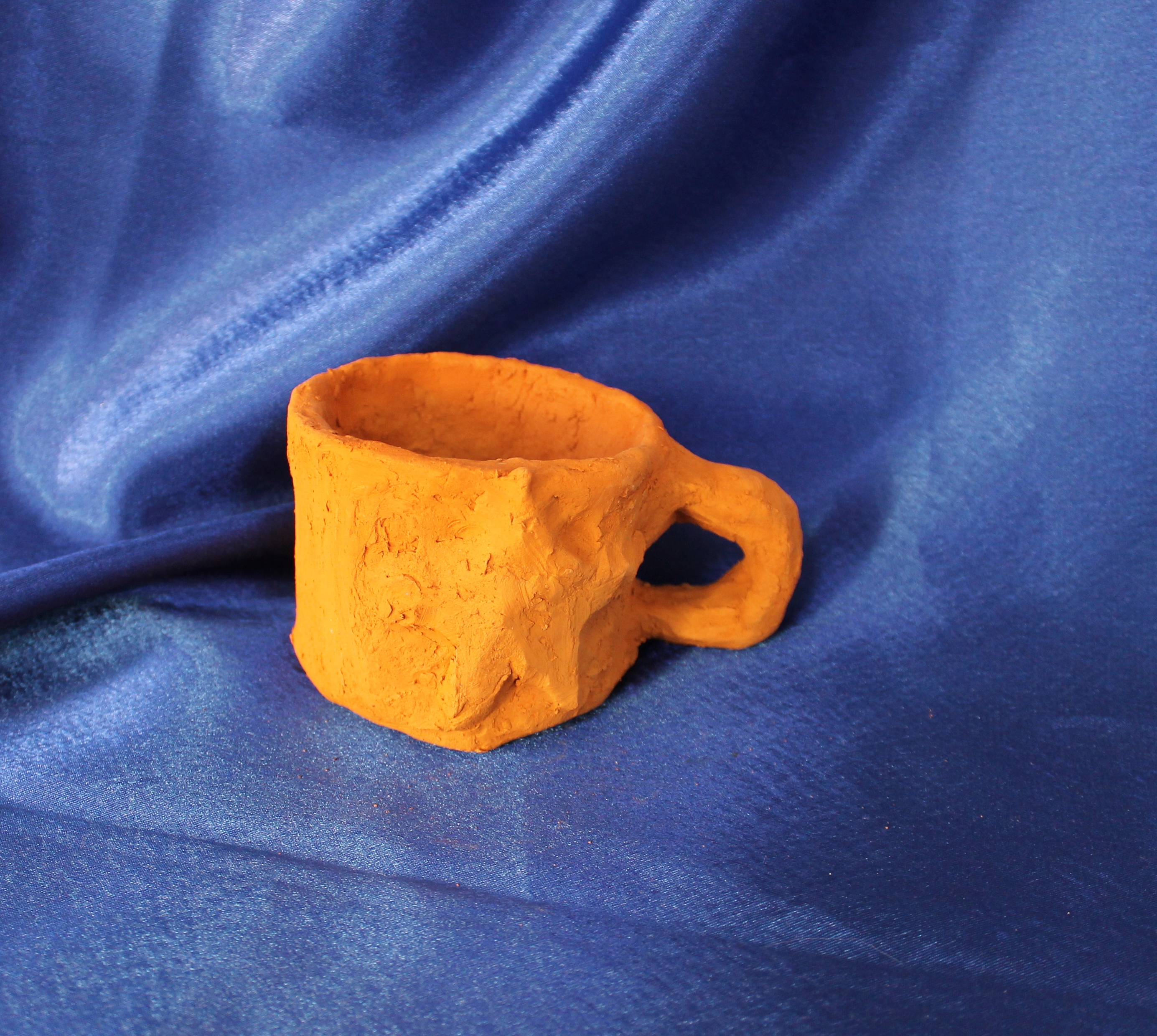 Лидина Вика