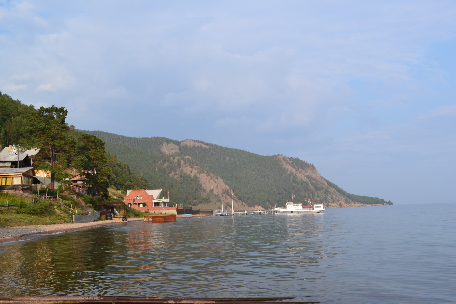 Большие КОты))))))