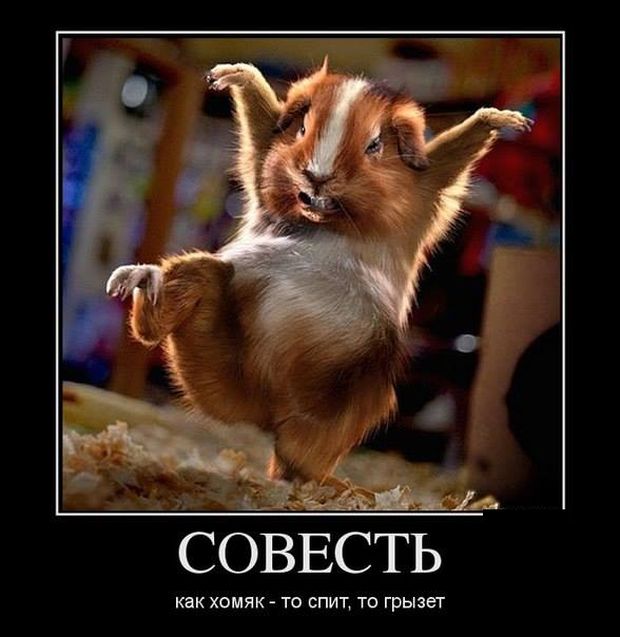 Совесть