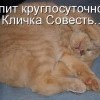 Кличка Совесть Кличка Совесть