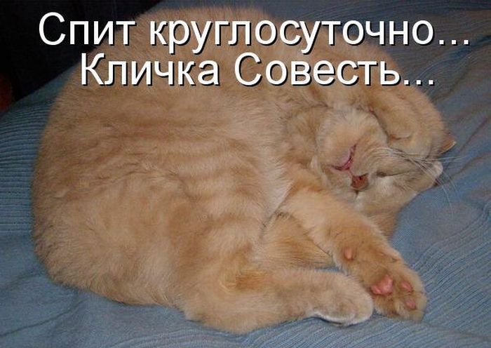 Кличка Совесть