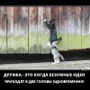 Дружба Дружба