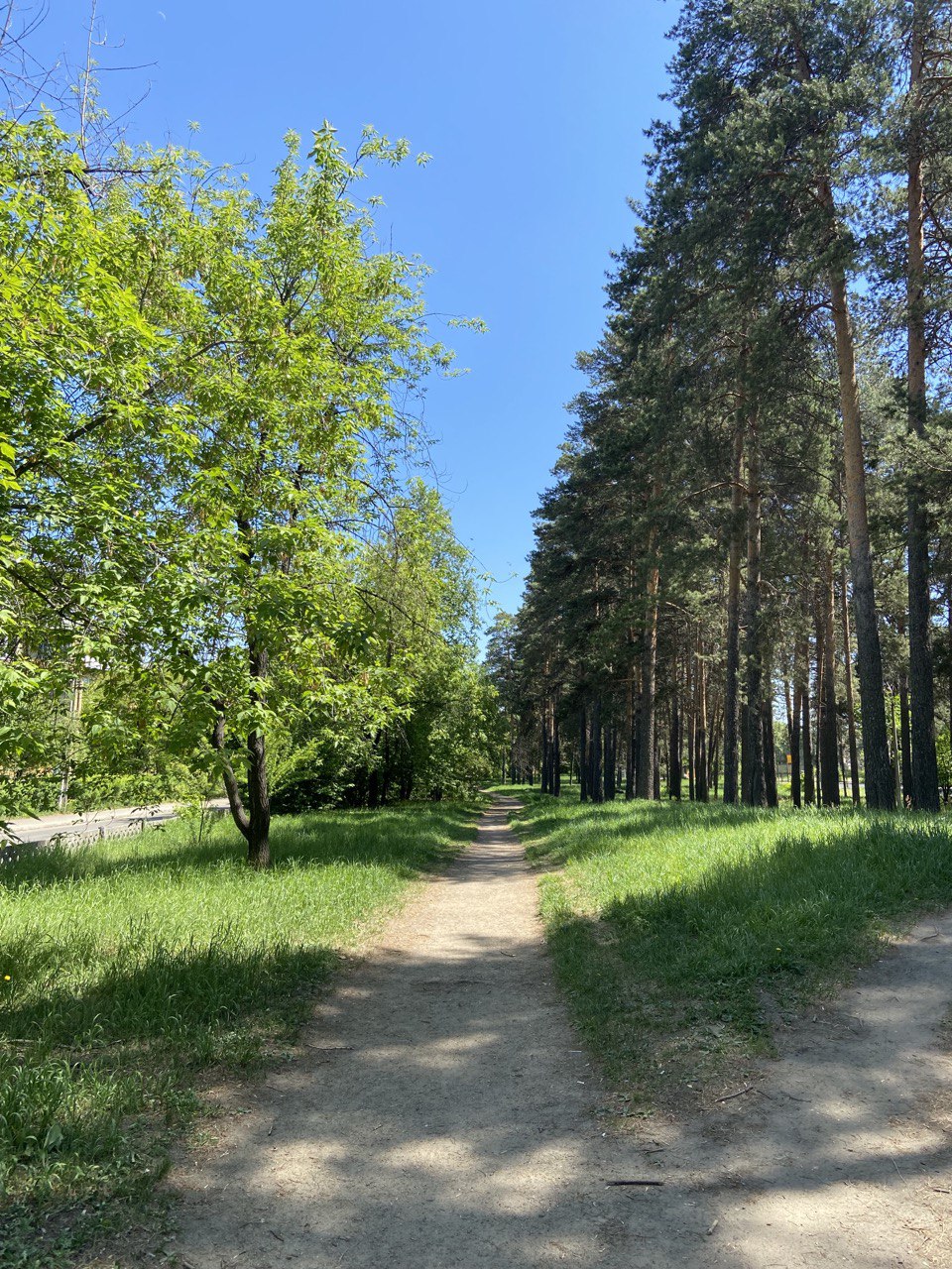 Парк