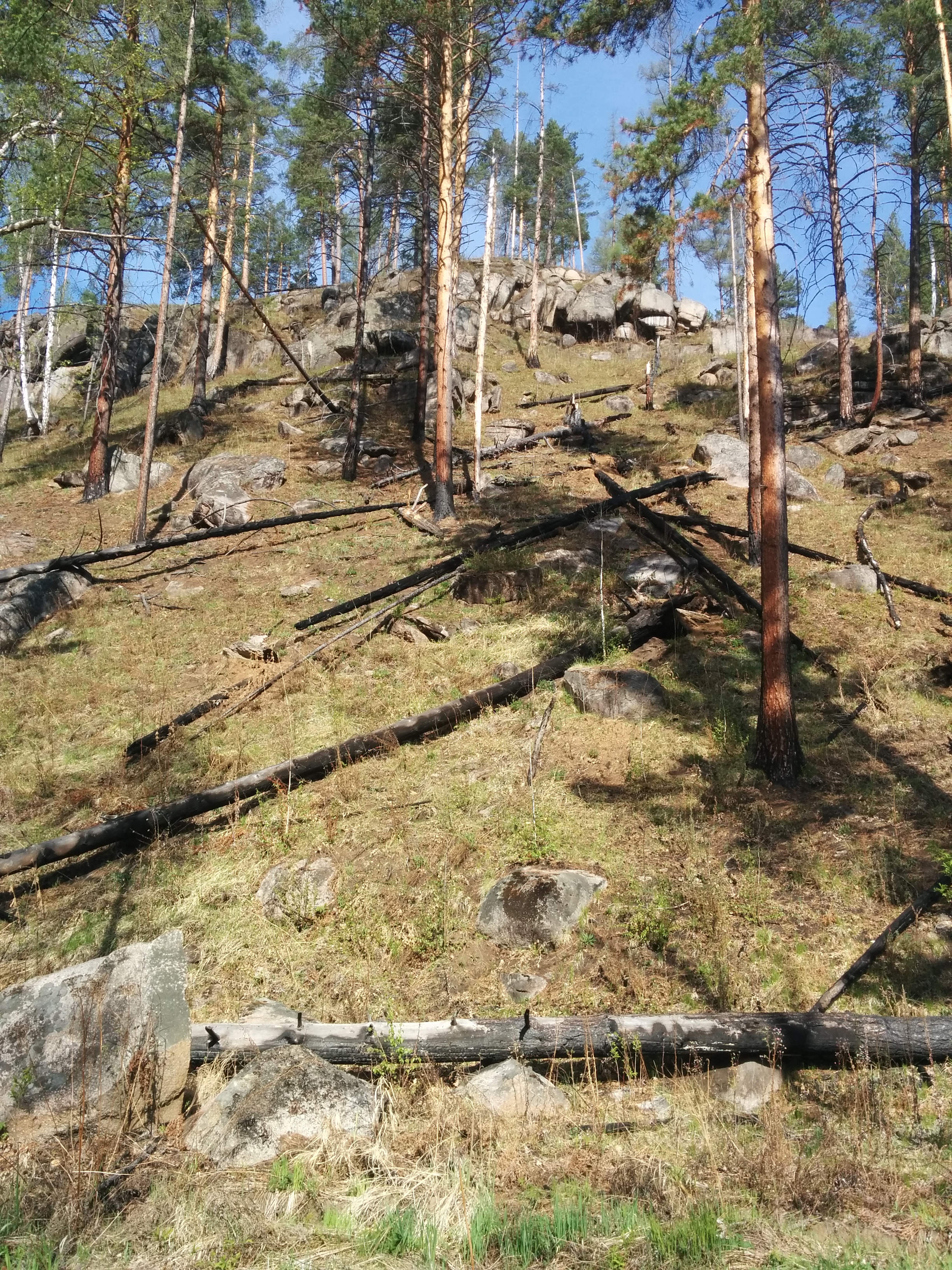 IMG 20150515 091009