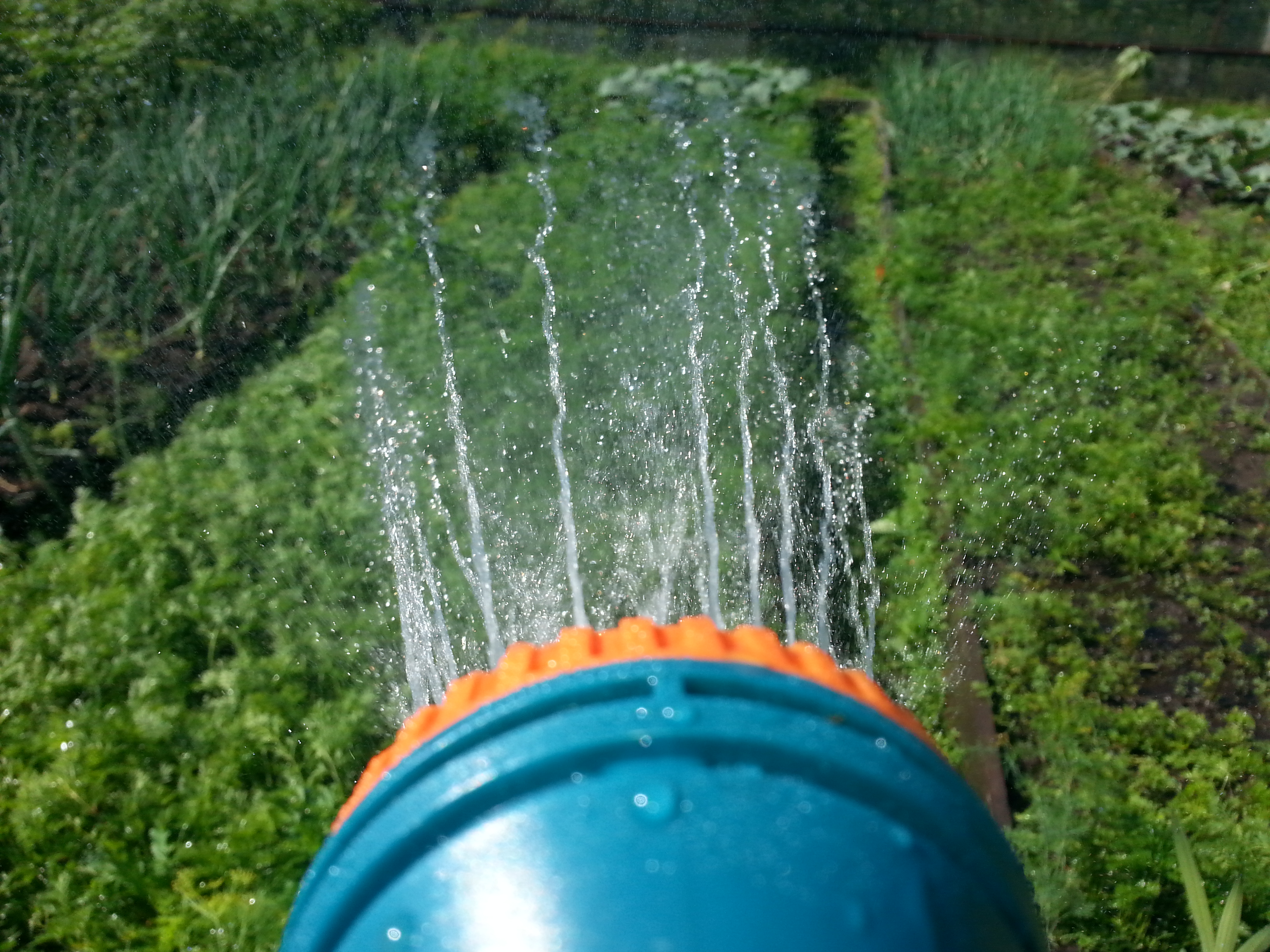 Лютобешаная паливалка)))))))