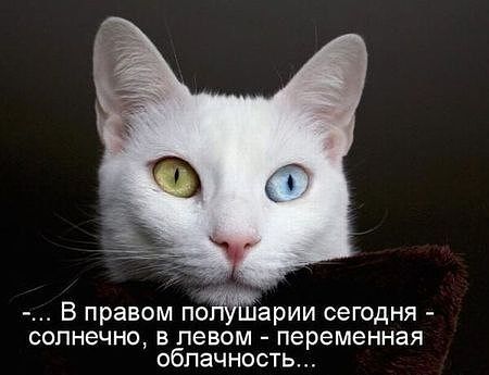 Кысо4