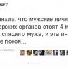 Яички