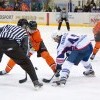 IMG 7382