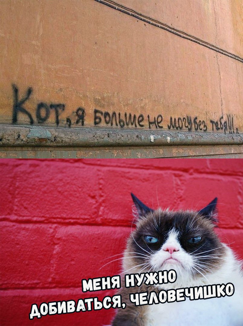 меня нужно добиваться))))))