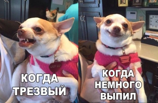Большая разница