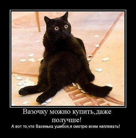 Дилемма ..
