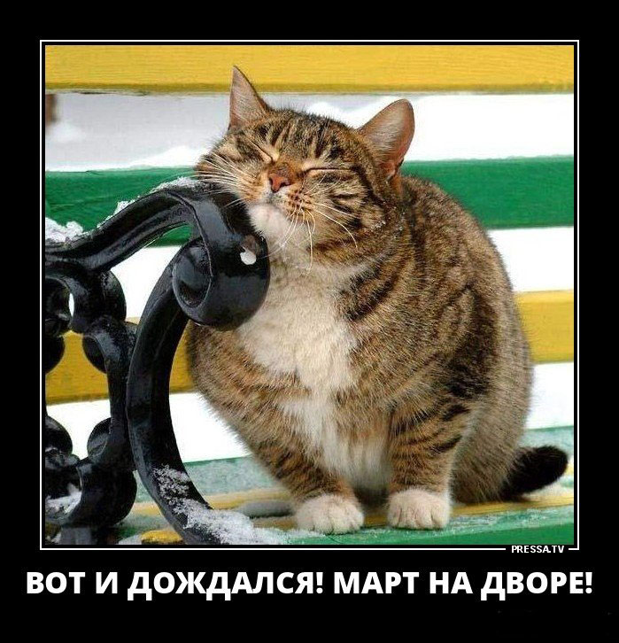 Дождался