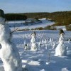 Утро.Понедельник.Снеговики идут на работу.