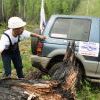 Удинские топи 2012 Удинские топи 2012
