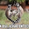 узбагойдесь))))) узбагойдесь)))))