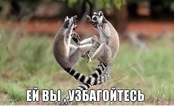 узбагойдесь)))))