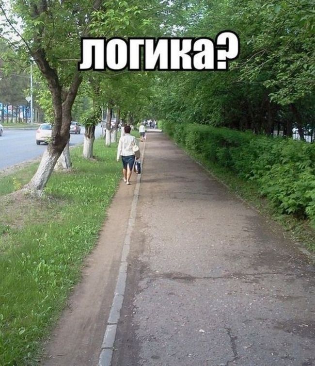 Логика