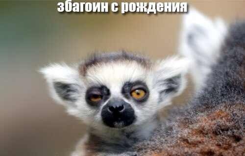 збагоин з раждения)))))