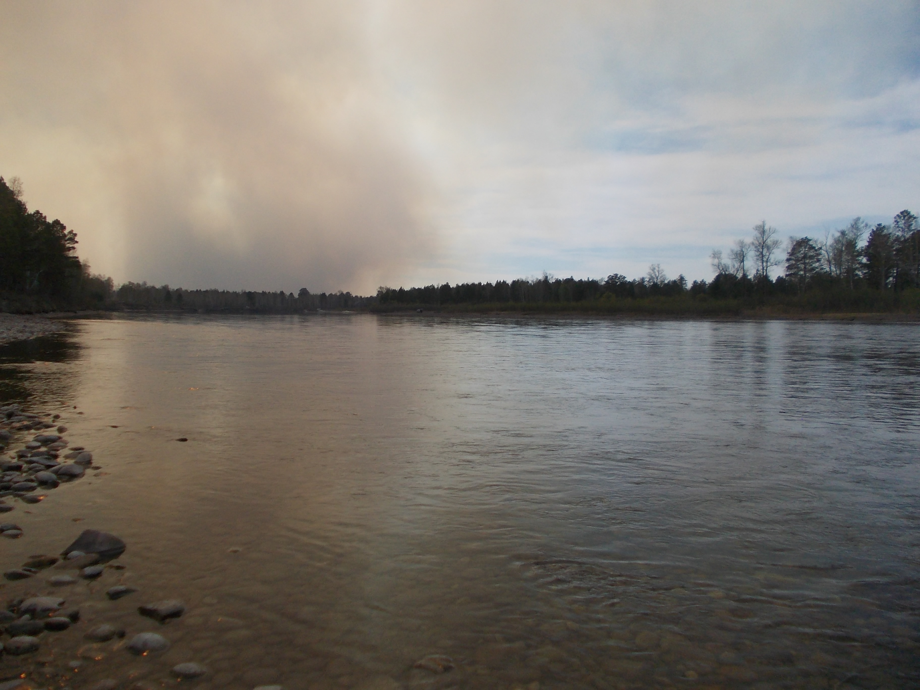 Лесные пожары