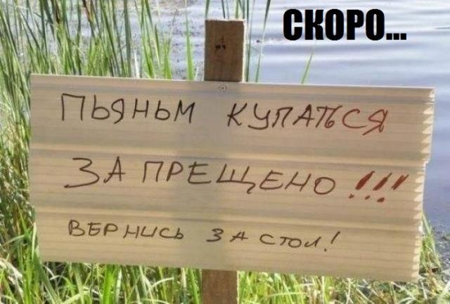 Вернись за стол