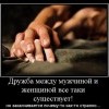 Дружба между мужчиной и женщиной