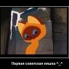 Первая Няшка Первая Няшка