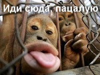 иди сюда, пацалую))))))
