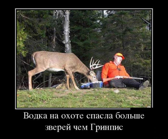 Водка