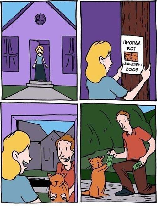 Пропал кот...