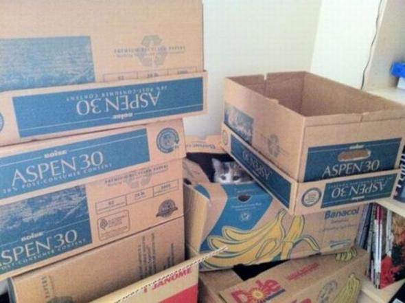 F034ce49c9d397445cbdf8a0a1d prev