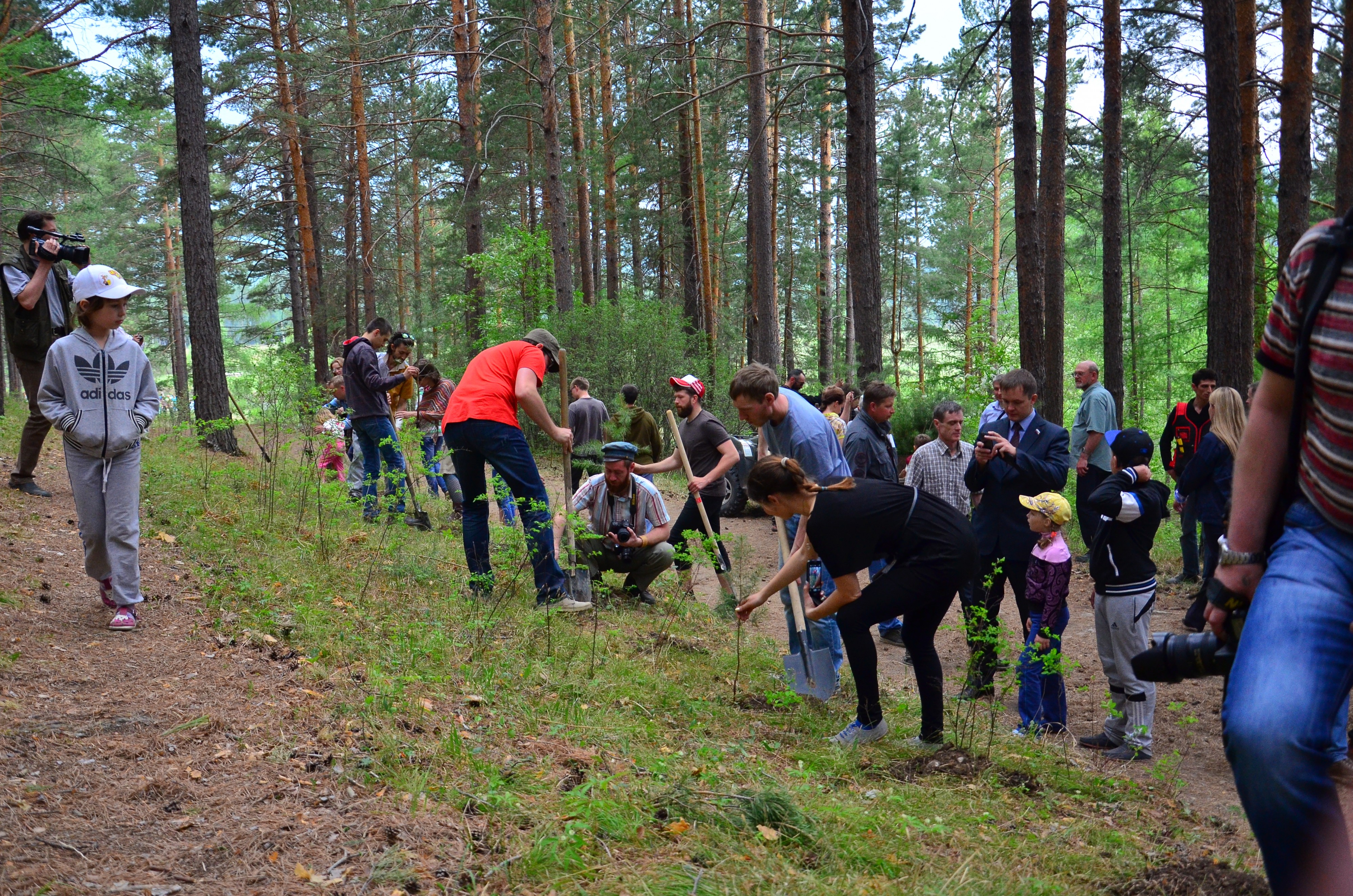 ЛУКОМОРЬЕ – 2015