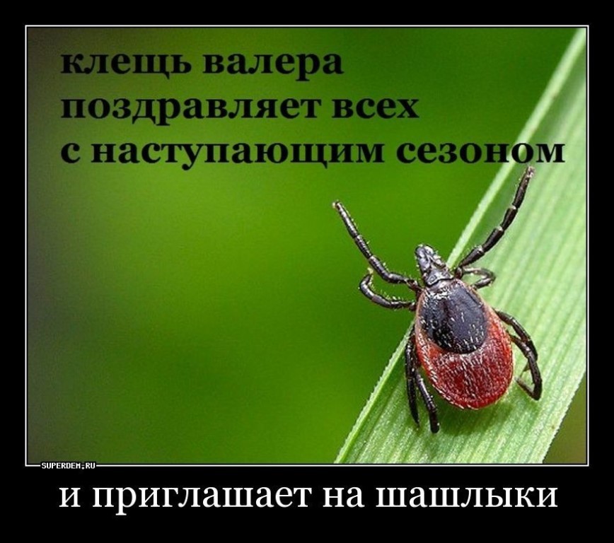 клесчь приветцтвует)))))