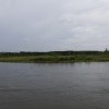 Китой Китой