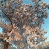 Зимние зарисовки