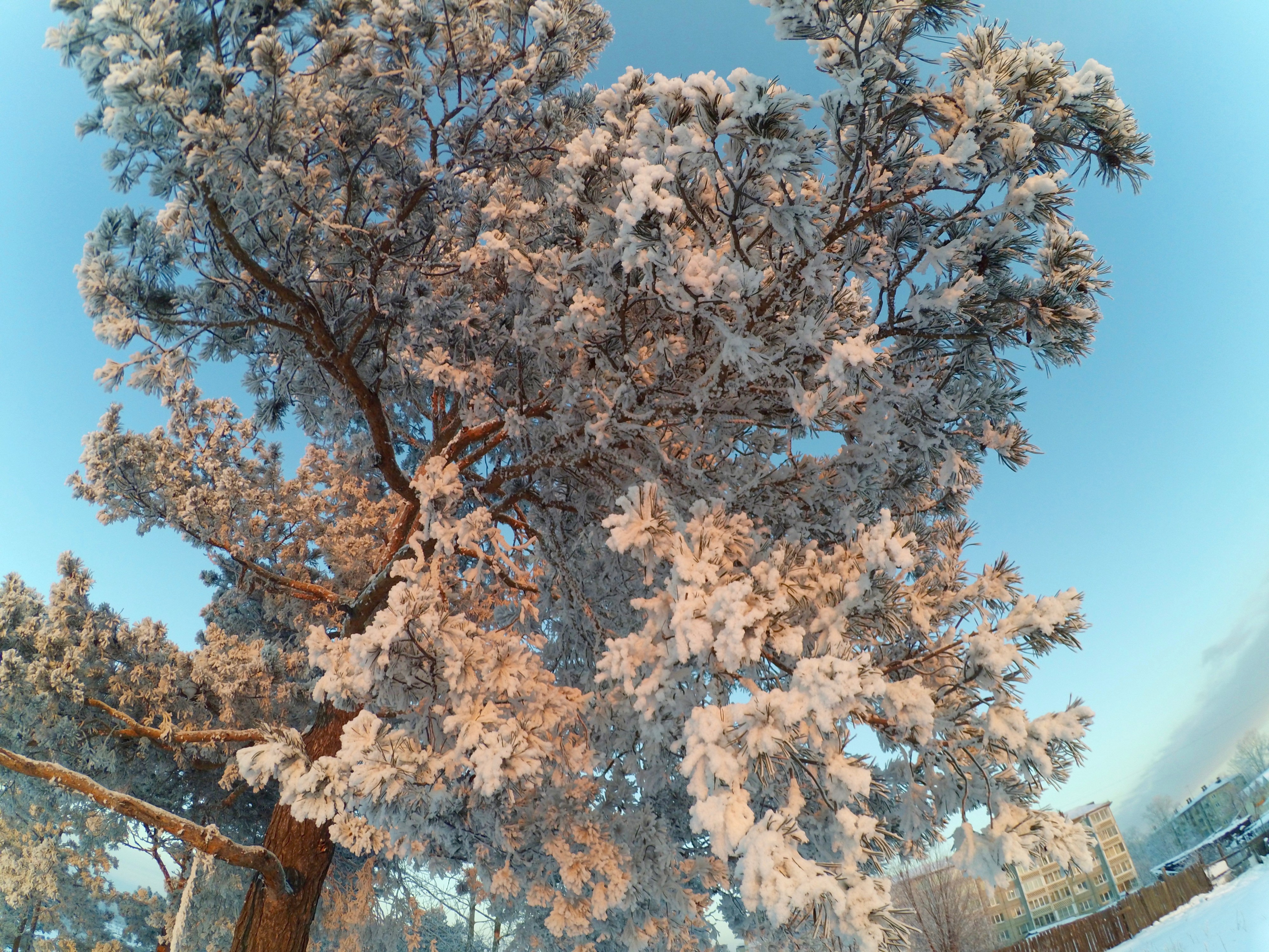 Зимние зарисовки