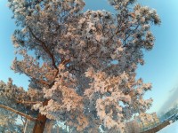 Зимние зарисовки