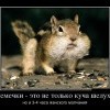 Семечки Семечки