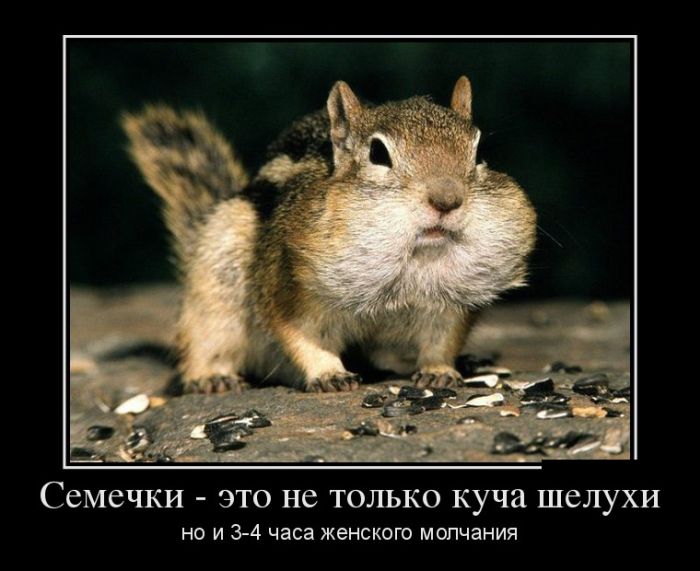 Семечки