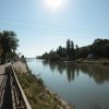 IMG 3998
